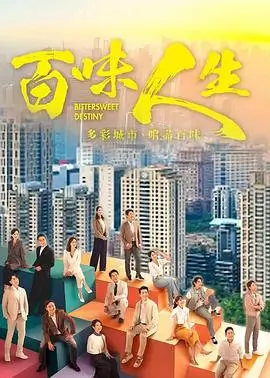 热播电视剧 雾港迷案 海报